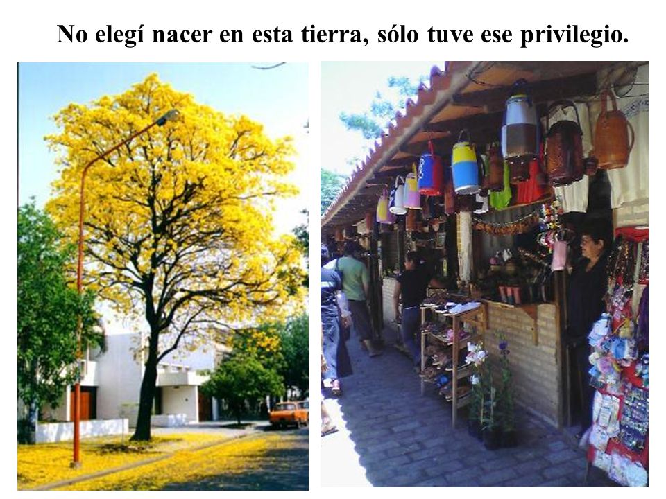 No elegí nacer en esta tierra, sólo tuve ese privilegio.