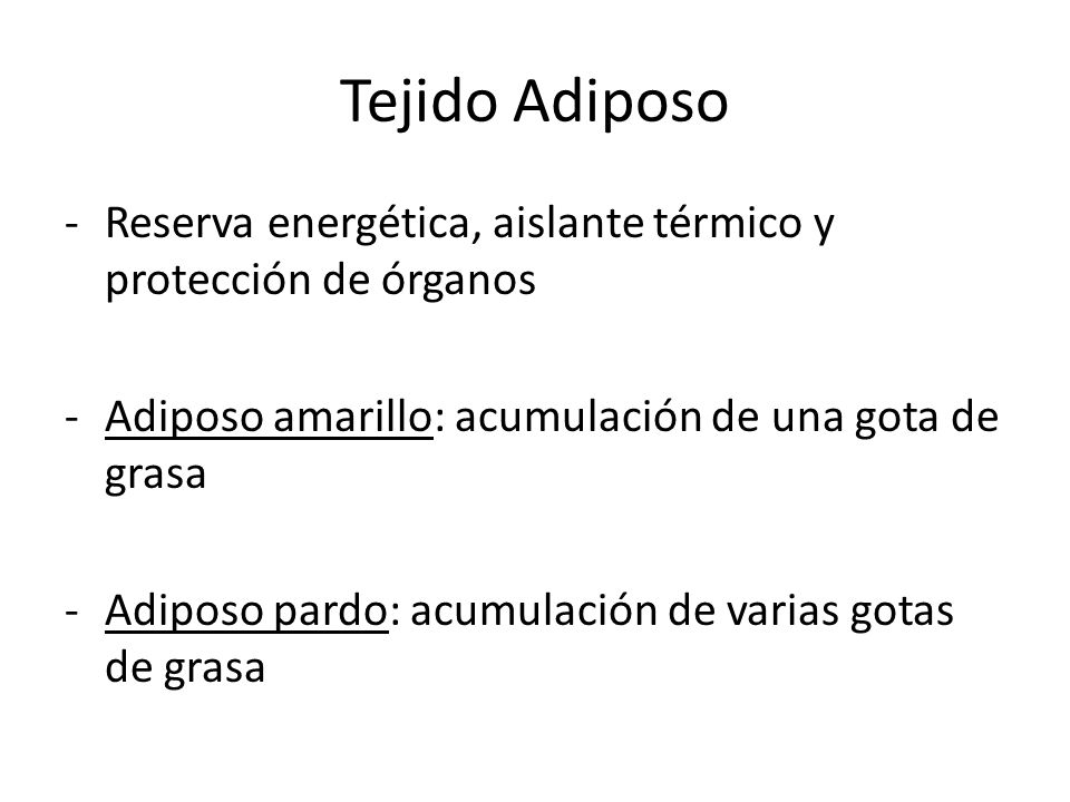Tejido Adiposo Reserva energética, aislante térmico y protección de órganos. Adiposo amarillo: acumulación de una gota de grasa.