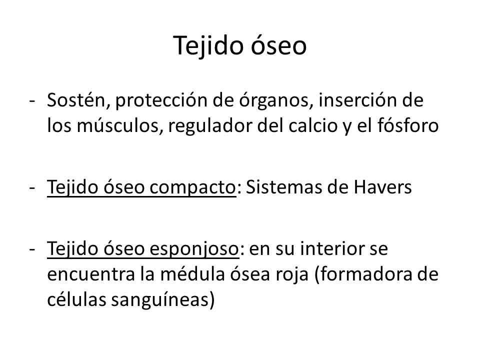 Tejido óseo Sostén, protección de órganos, inserción de los músculos, regulador del calcio y el fósforo.