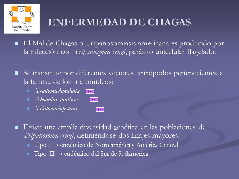 ENFERMEDAD DE CHAGAS El Mal de Chagas o Tripanosomiasis americana es producido por la infección con Tripanozoma cruzi, parásito unicelular flagelado.