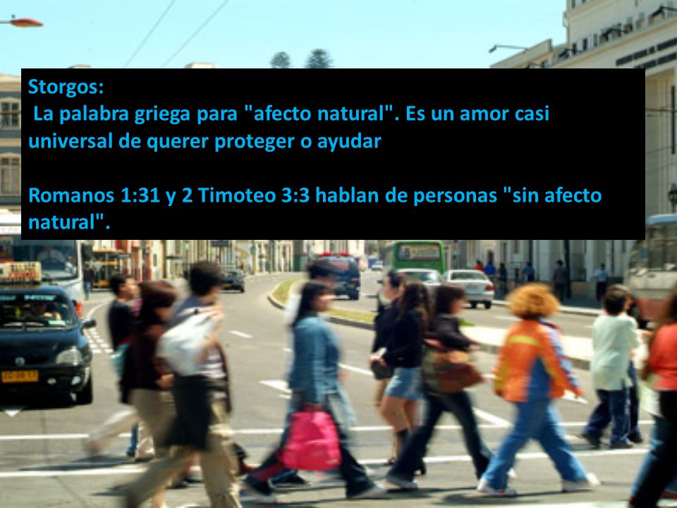 Storgos: La palabra griega para afecto natural . Es un amor casi universal de querer proteger o ayudar.