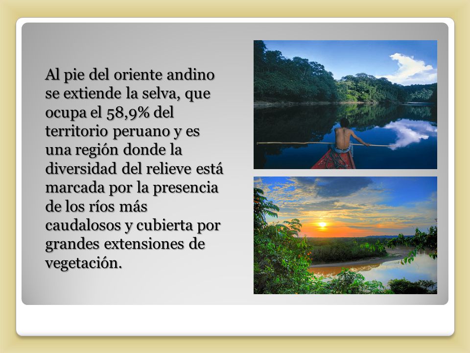 Al pie del oriente andino se extiende la selva, que ocupa el 58,9% del territorio peruano y es una región donde la diversidad del relieve está marcada por la presencia de los ríos más caudalosos y cubierta por grandes extensiones de vegetación.