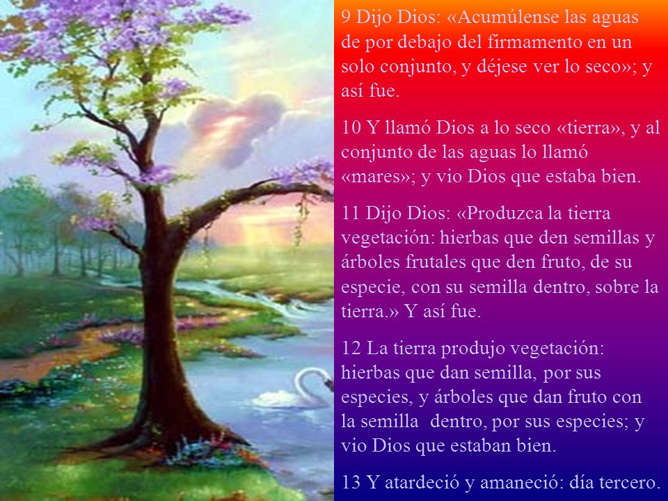 9 Dijo Dios: «Acumúlense las aguas de por debajo del firmamento en un solo conjunto, y déjese ver lo seco»; y así fue.
