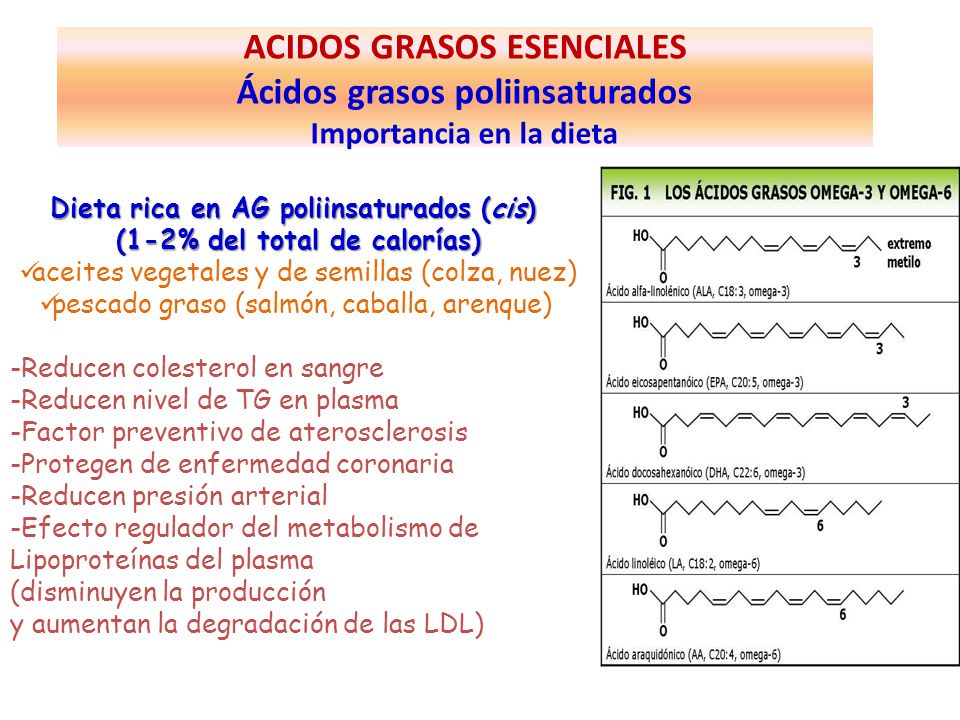 Dieta rica en AG poliinsaturados (cis) (1-2% del total de calorías)