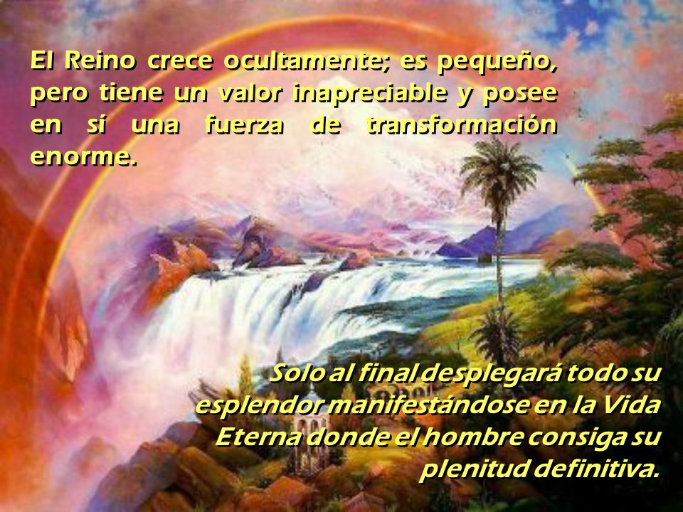 El Reino crece ocultamente; es pequeño, pero tiene un valor inapreciable y posee en sí una fuerza de transformación enorme.
