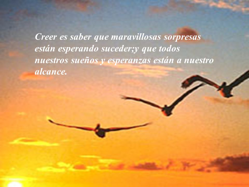 Creer es saber que maravillosas sorpresas están esperando suceder;y que todos nuestros sueños y esperanzas están a nuestro alcance.