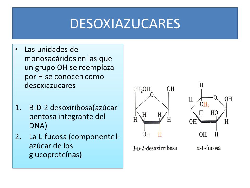 DESOXIAZUCARES Las unidades de monosacáridos en las que un grupo OH se reemplaza por H se conocen como desoxiazucares.