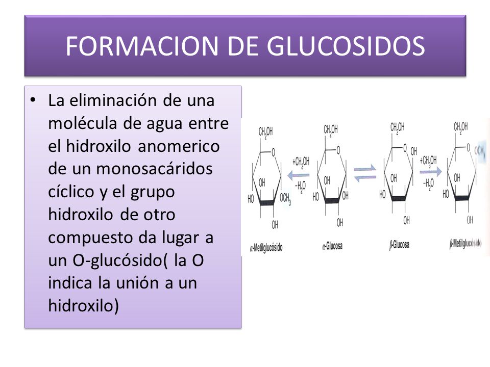FORMACION DE GLUCOSIDOS