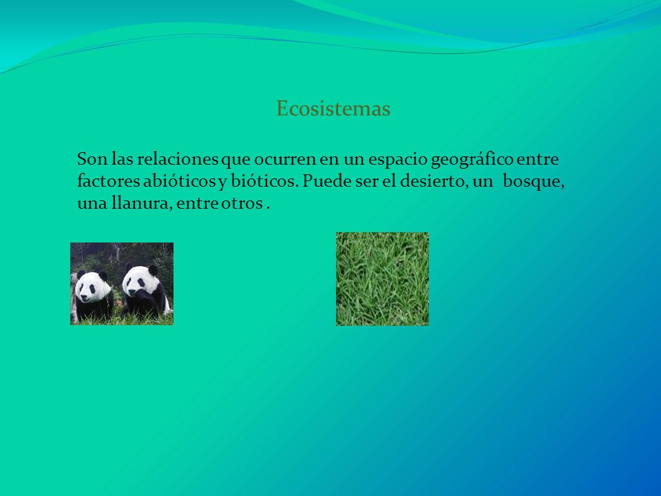 Ecosistemas