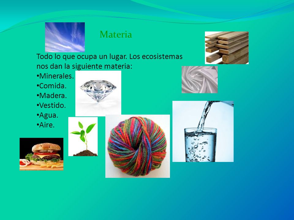 Materia Todo lo que ocupa un lugar. Los ecosistemas nos dan la siguiente materia: Minerales. Comida.