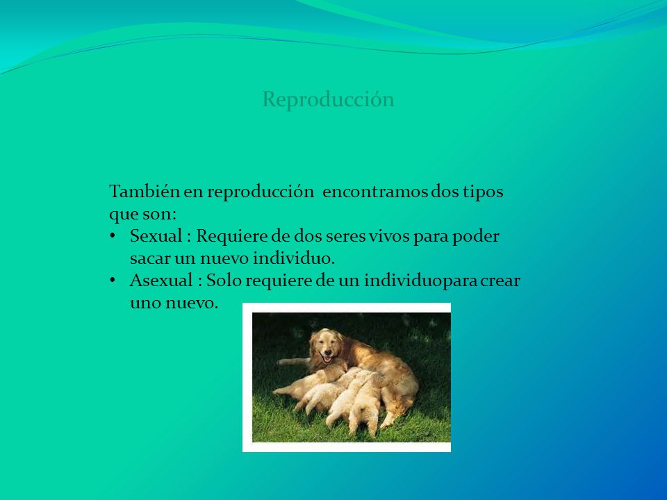 Reproducción También en reproducción encontramos dos tipos que son: