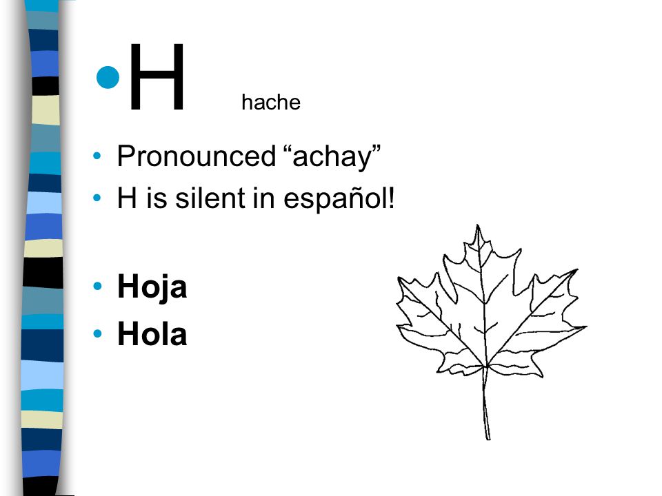 H hache Pronounced achay H is silent in español! Hoja Hola