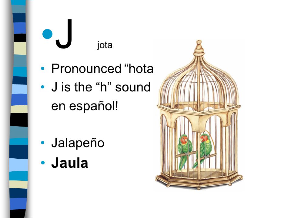 J jota Pronounced hota J is the h sound en español! Jalapeño Jaula