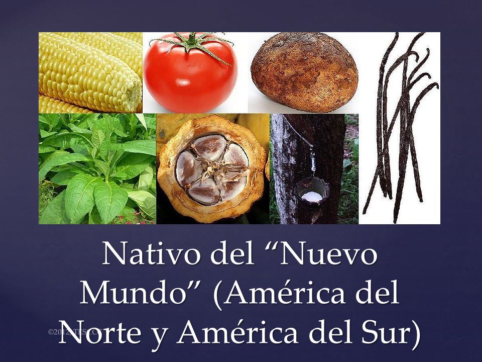 Nativo del Nuevo Mundo (América del Norte y América del Sur)