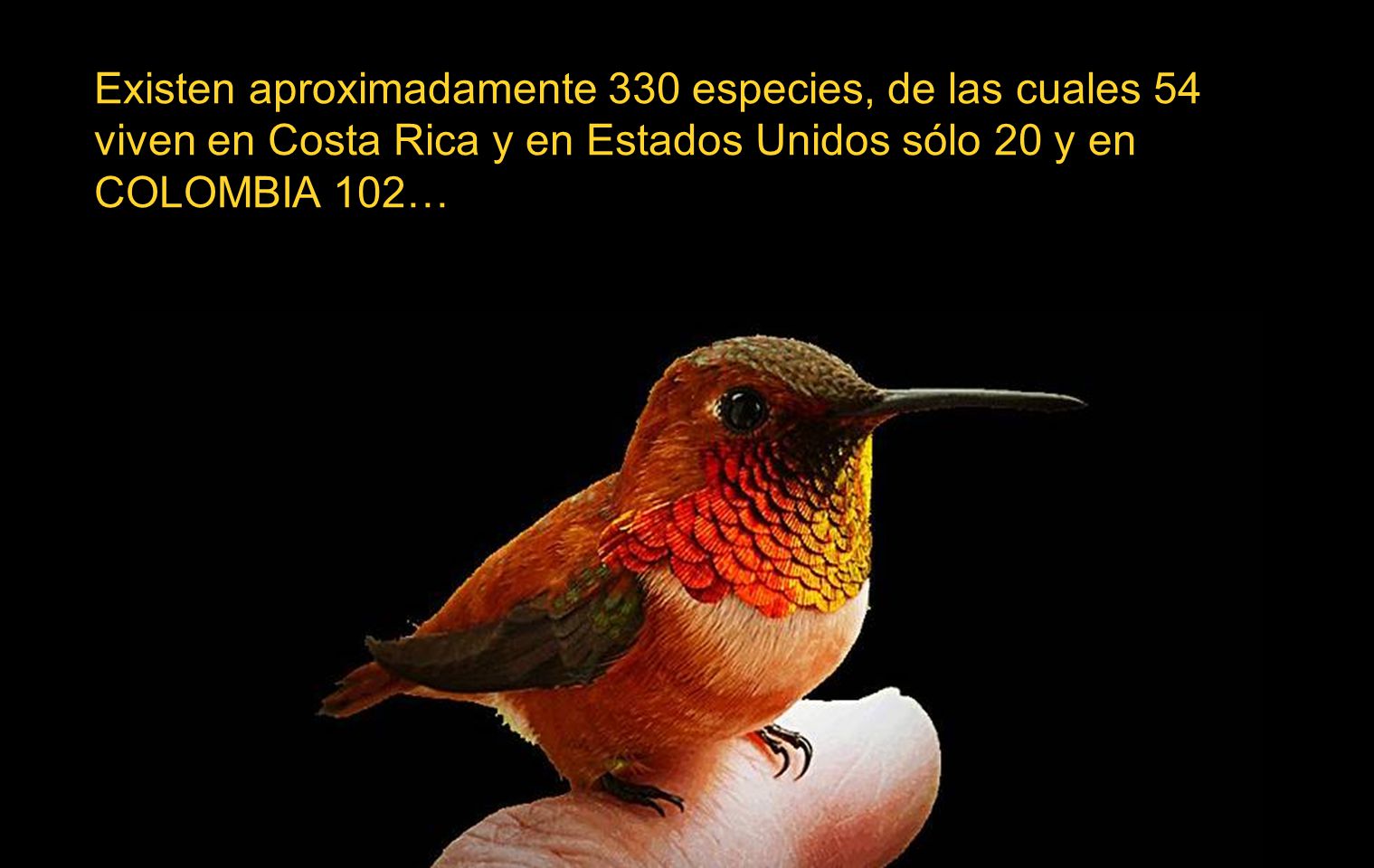 Existen aproximadamente 330 especies, de las cuales 54 viven en Costa Rica y en Estados Unidos sólo 20 y en COLOMBIA 102…