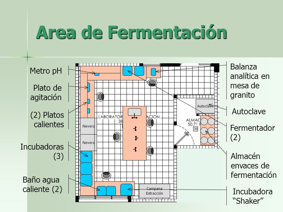 Area de Fermentación Balanza analítica en mesa de granito Metro pH