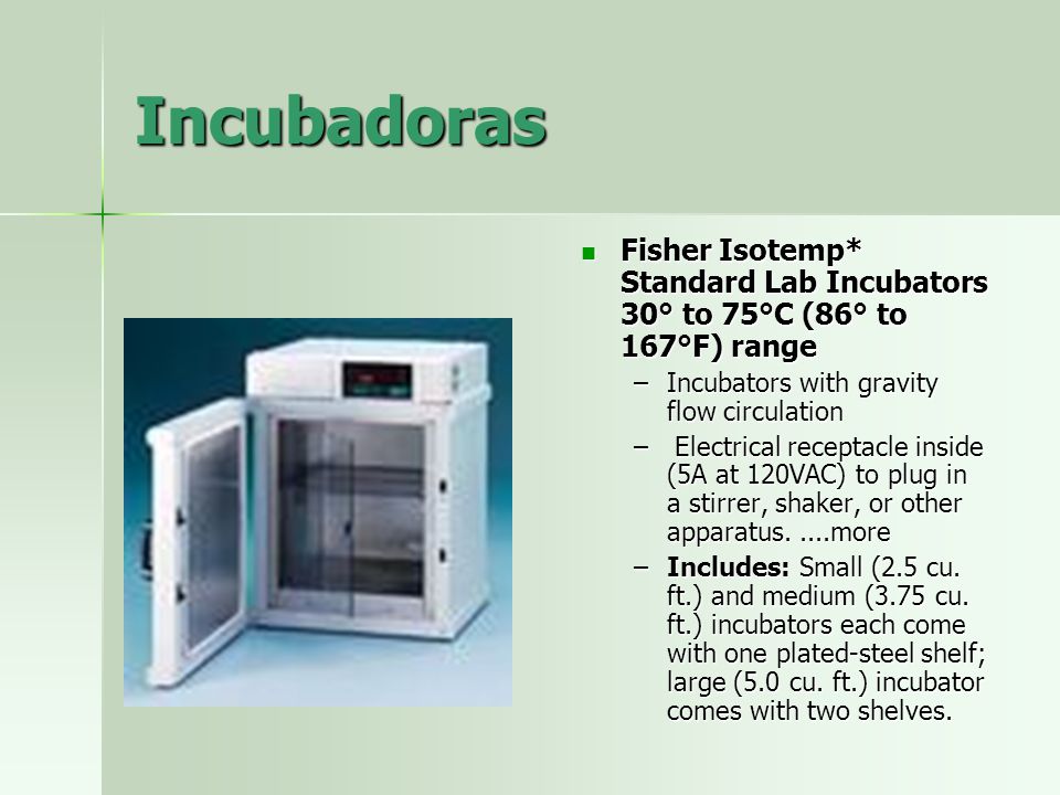 Incubadoras Fisher Isotemp* Standard Lab Incubators 30° to 75°C (86° to 167°F) range. Incubators with gravity flow circulation.