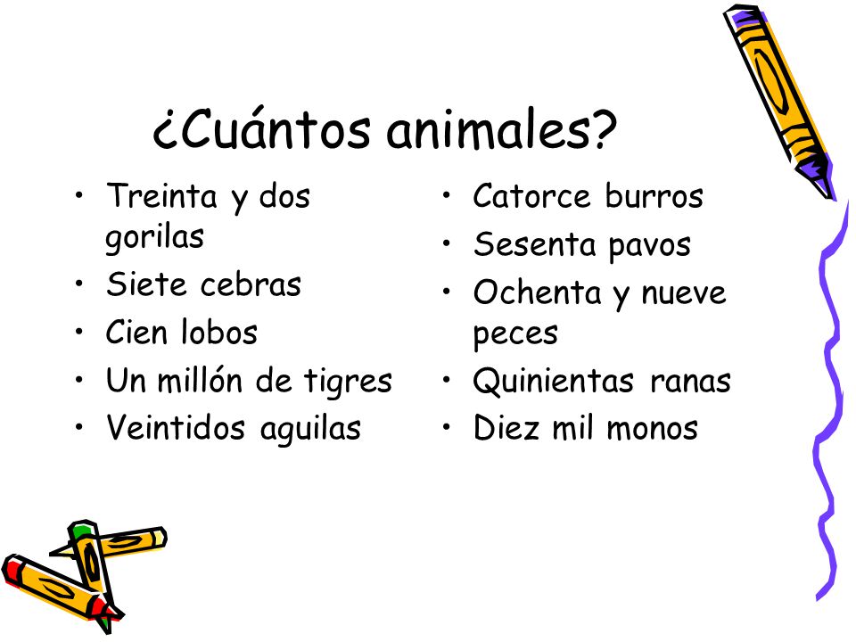 ¿Cuántos animales Treinta y dos gorilas Siete cebras Cien lobos
