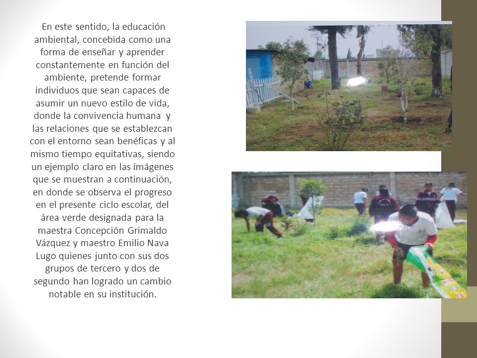 En este sentido, la educación ambiental, concebida como una forma de enseñar y aprender constantemente en función del ambiente, pretende formar individuos que sean capaces de asumir un nuevo estilo de vida, donde la convivencia humana y las relaciones que se establezcan con el entorno sean benéficas y al mismo tiempo equitativas, siendo un ejemplo claro en las imágenes que se muestran a continuación, en donde se observa el progreso en el presente ciclo escolar, del área verde designada para la maestra Concepción Grimaldo Vázquez y maestro Emilio Nava Lugo quienes junto con sus dos grupos de tercero y dos de segundo han logrado un cambio notable en su institución.
