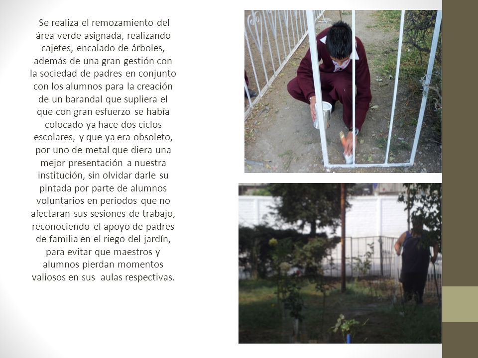 Se realiza el remozamiento del área verde asignada, realizando cajetes, encalado de árboles, además de una gran gestión con la sociedad de padres en conjunto con los alumnos para la creación de un barandal que supliera el que con gran esfuerzo se había colocado ya hace dos ciclos escolares, y que ya era obsoleto, por uno de metal que diera una mejor presentación a nuestra institución, sin olvidar darle su pintada por parte de alumnos voluntarios en periodos que no afectaran sus sesiones de trabajo, reconociendo el apoyo de padres de familia en el riego del jardín, para evitar que maestros y alumnos pierdan momentos valiosos en sus aulas respectivas.