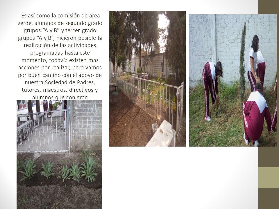 Es así como la comisión de área verde, alumnos de segundo grado grupos A y B y tercer grado grupos A y B , hicieron posible la realización de las actividades programadas hasta este momento, todavía existen más acciones por realizar, pero vamos por buen camino con el apoyo de nuestra Sociedad de Padres, tutores, maestros, directivos y alumnos que con gran desprendimiento humano y gestión económica ayudan a que los sueños se puedan volver realidad.