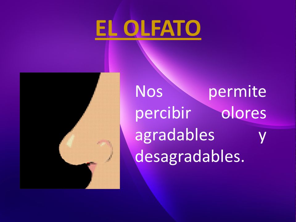 EL OLFATO Nos permite percibir olores agradables y desagradables.