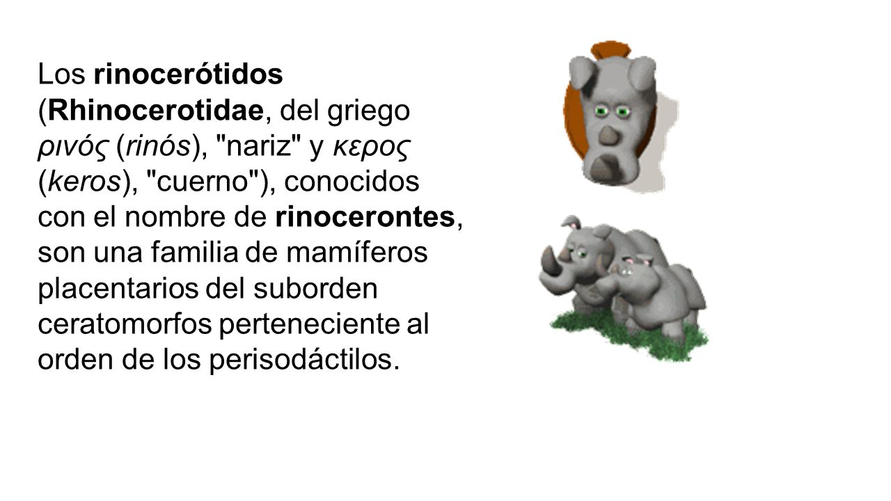 Los rinocerótidos (Rhinocerotidae, del griego ρινός (rinós), nariz y κερος (keros), cuerno ), conocidos con el nombre de rinocerontes, son una familia de mamíferos placentarios del suborden ceratomorfos perteneciente al orden de los perisodáctilos.