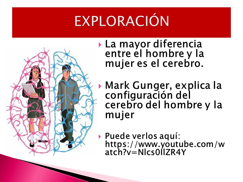 EXPLORACIÓN La mayor diferencia entre el hombre y la mujer es el cerebro.