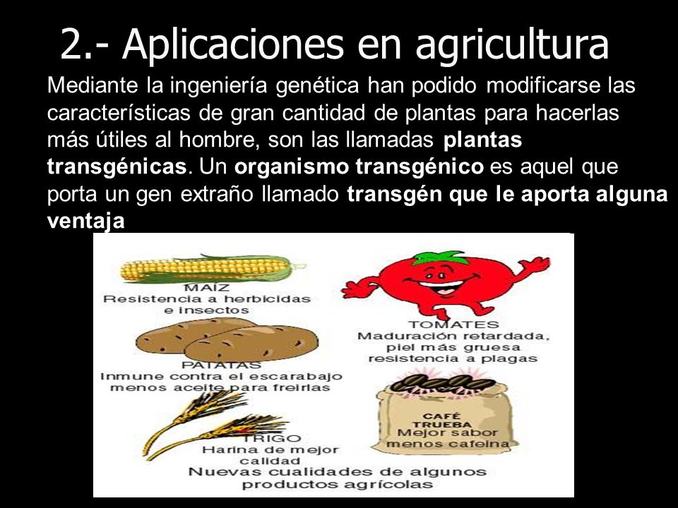 Iii Aplicaciones De La Ingenieria Genetica Biotecnologia