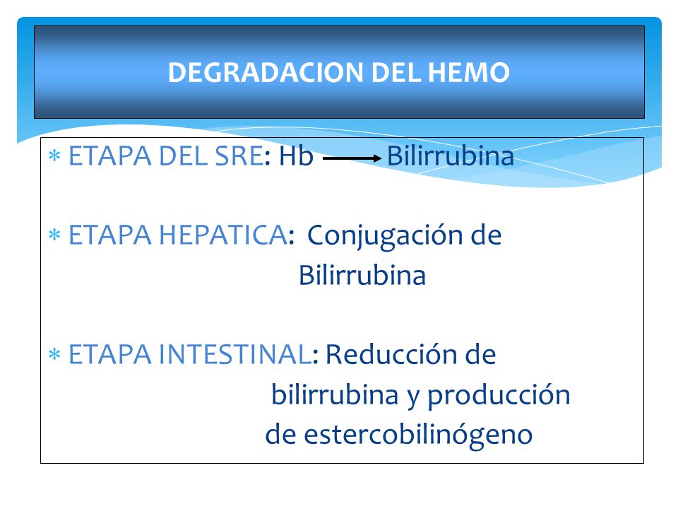 DEGRADACION DEL HEMO ETAPA DEL SRE: Hb Bilirrubina. ETAPA HEPATICA: Conjugación de. Bilirrubina.