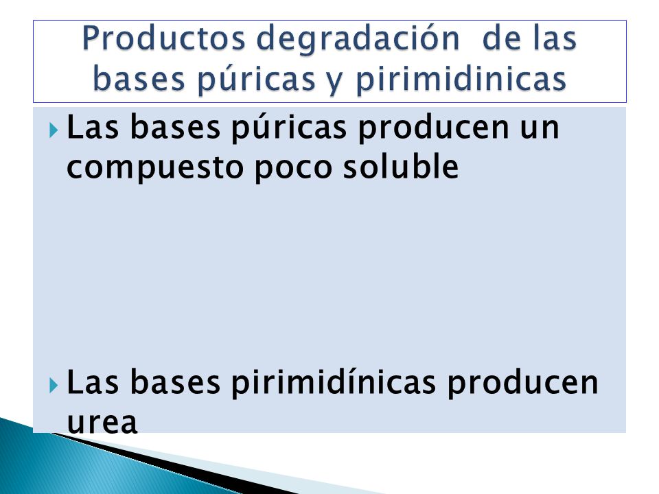 Productos degradación de las bases púricas y pirimidinicas