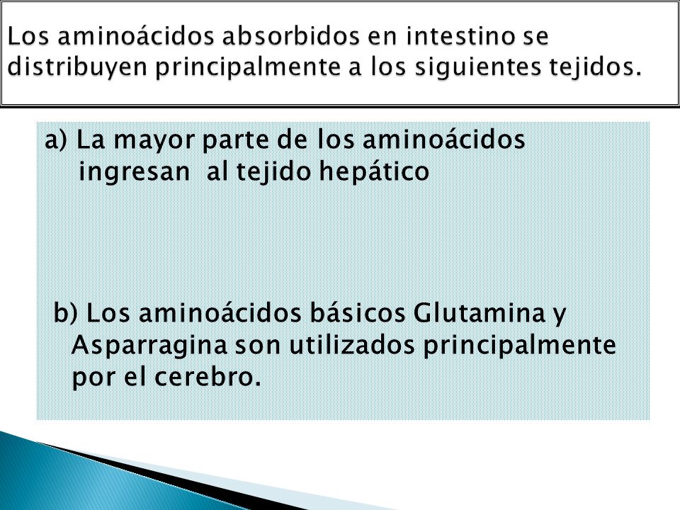 a) La mayor parte de los aminoácidos ingresan al tejido hepático