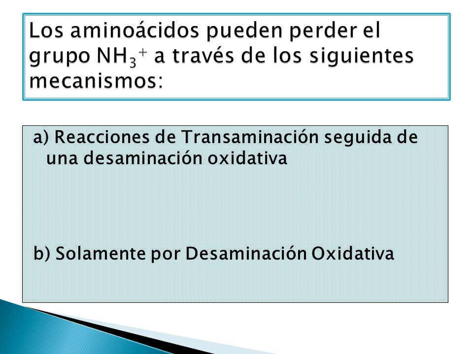 Los aminoácidos pueden perder el grupo NH3+ a través de los siguientes mecanismos: