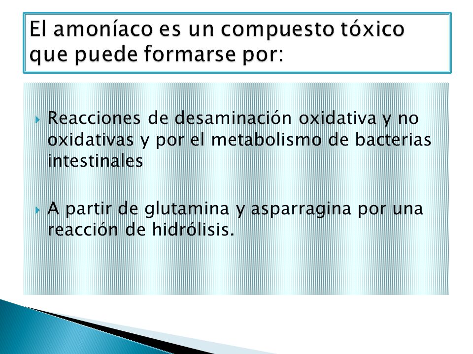 El amoníaco es un compuesto tóxico que puede formarse por: