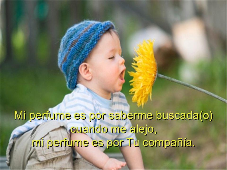 Mi perfume es por saberme buscada(o) cuando me alejo,