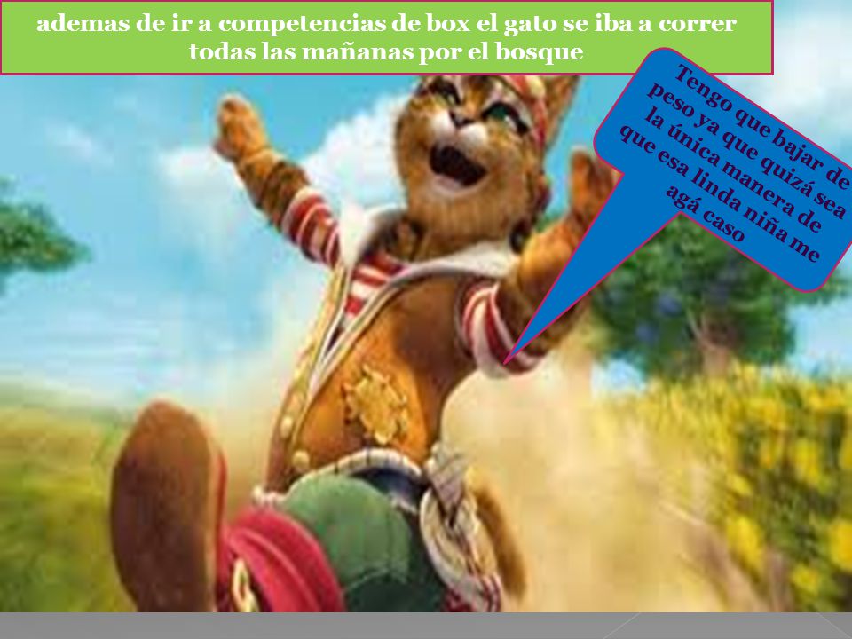 ademas de ir a competencias de box el gato se iba a correr todas las mañanas por el bosque