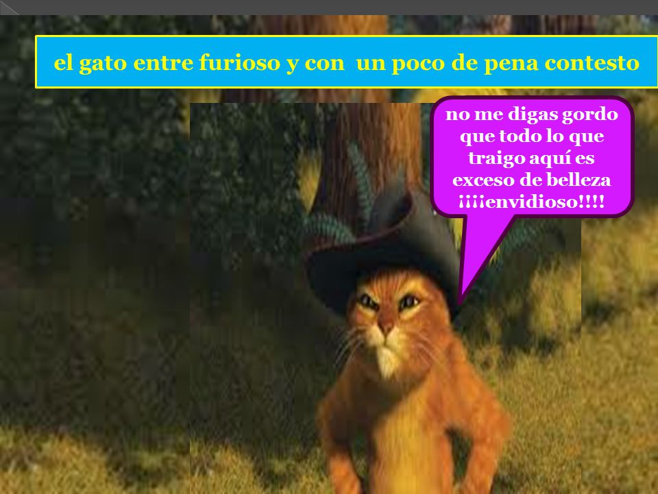 el gato entre furioso y con un poco de pena contesto