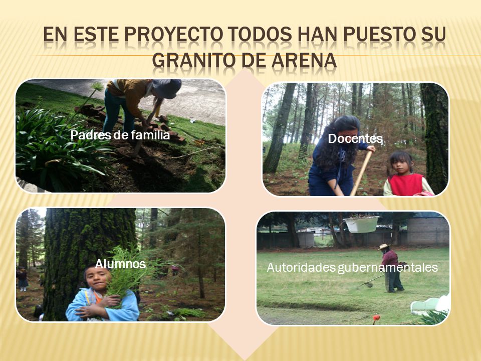 En este proyecto todos han puesto su granito de arena