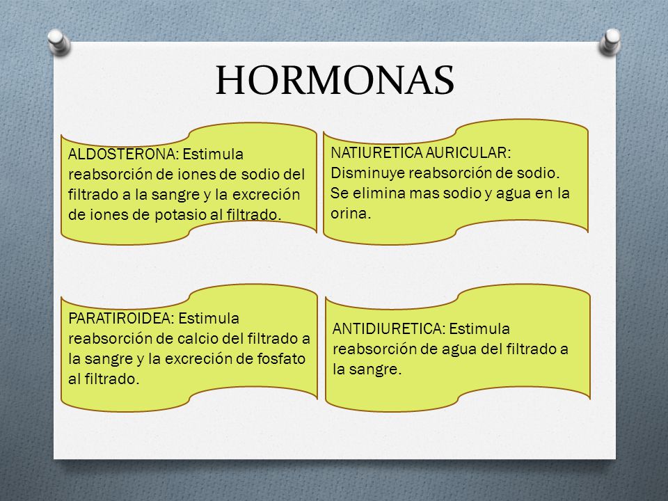 HORMONAS ALDOSTERONA: Estimula reabsorción de iones de sodio del filtrado a la sangre y la excreción de iones de potasio al filtrado.