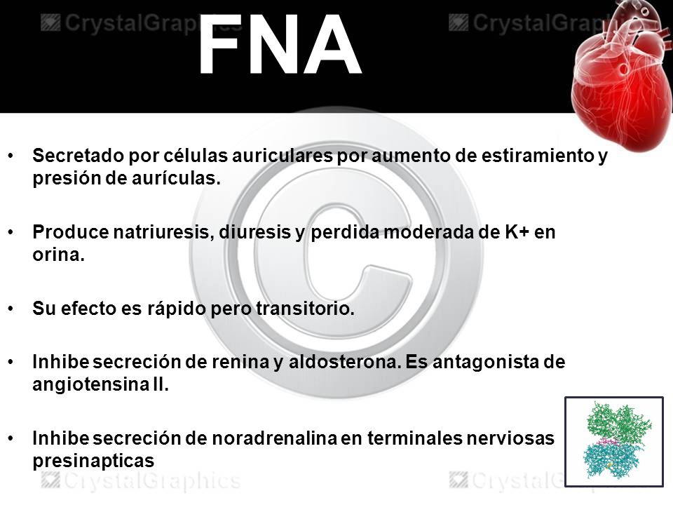FNA Secretado por células auriculares por aumento de estiramiento y presión de aurículas.