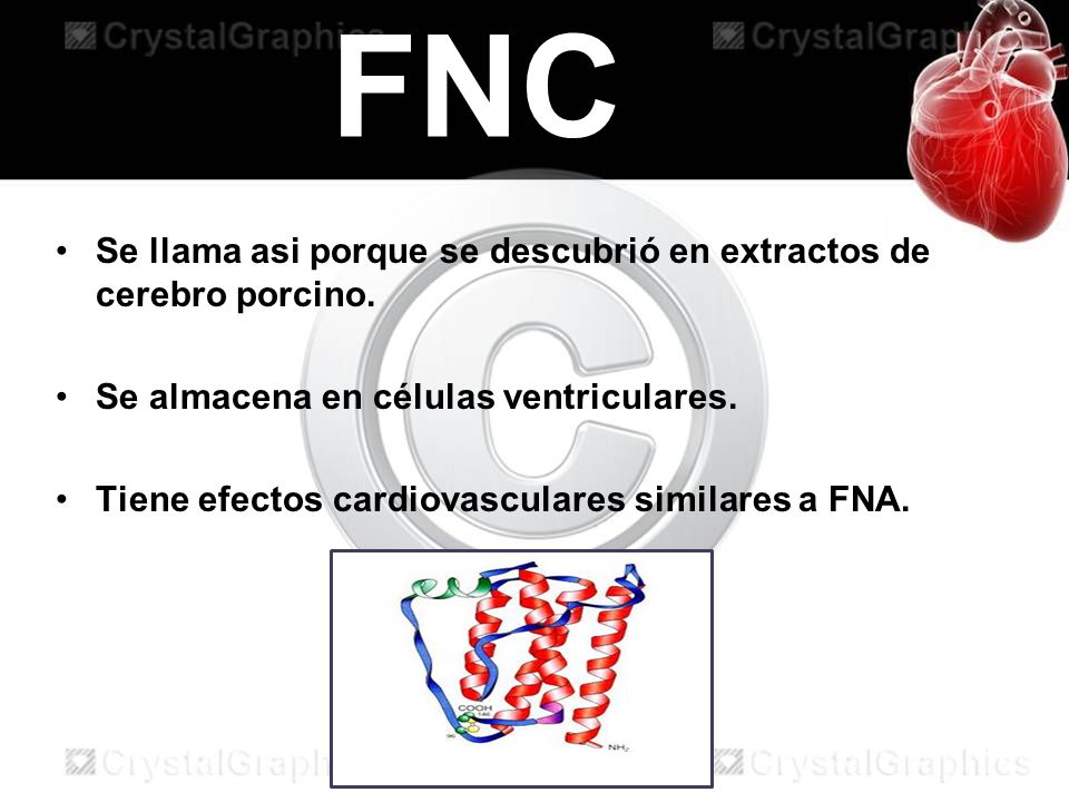 FNC Se llama asi porque se descubrió en extractos de cerebro porcino.