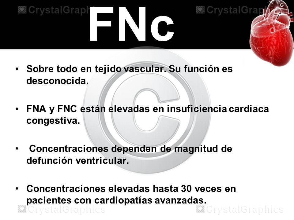 FNc Sobre todo en tejido vascular. Su función es desconocida.