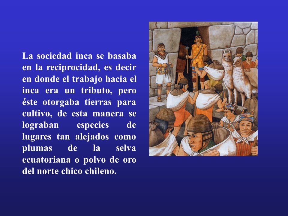 La sociedad inca se basaba en la reciprocidad, es decir en donde el trabajo hacia el inca era un tributo, pero éste otorgaba tierras para cultivo, de esta manera se lograban especies de lugares tan alejados como plumas de la selva ecuatoriana o polvo de oro del norte chico chileno.