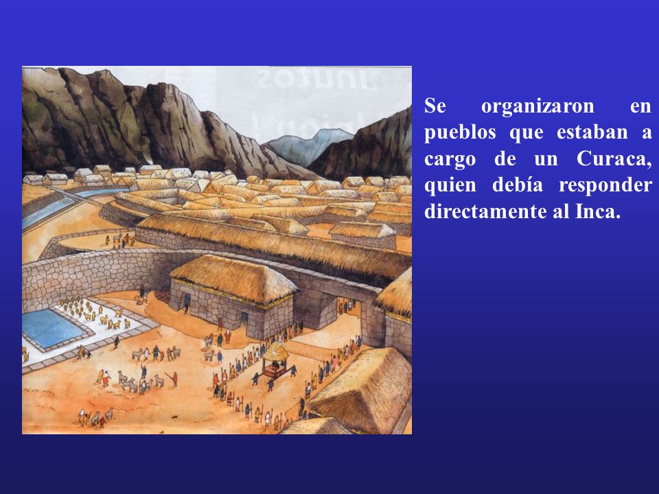 Se organizaron en pueblos que estaban a cargo de un Curaca, quien debía responder directamente al Inca.