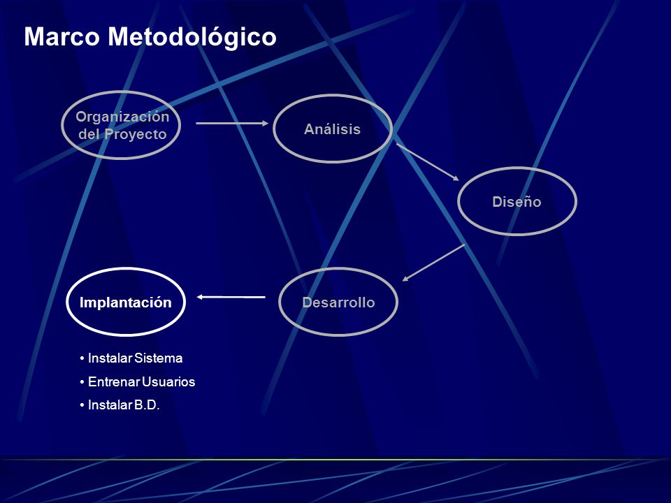 Organización del Proyecto