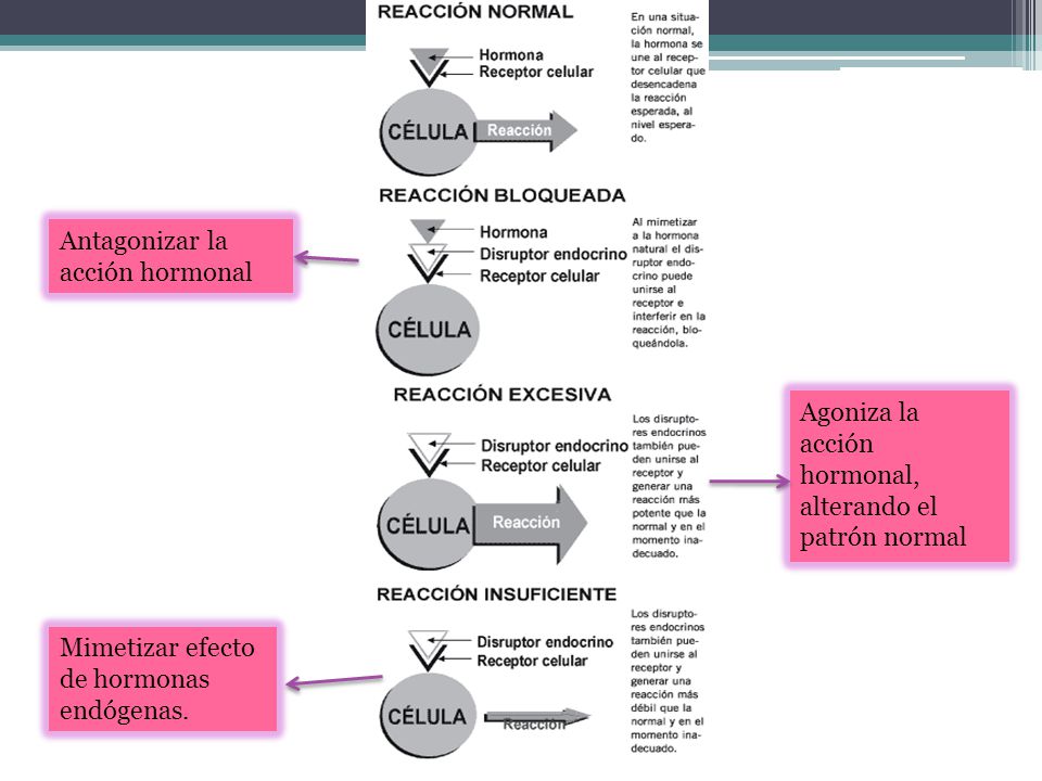 Antagonizar la acción hormonal