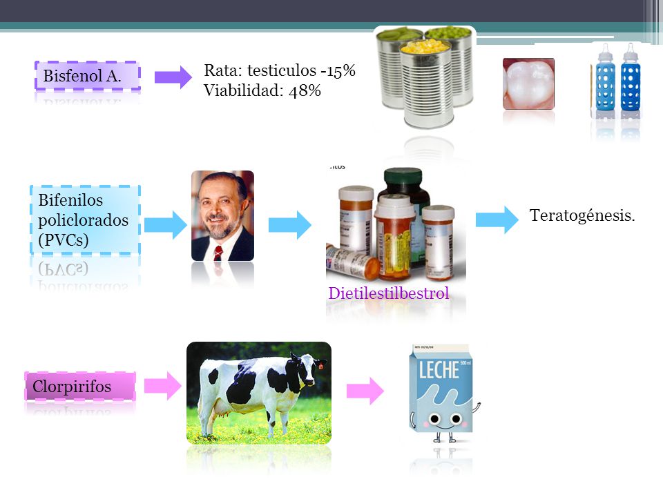Rata: testiculos -15% Viabilidad: 48% Bisfenol A. Bifenilos policlorados (PVCs) Teratogénesis. Dietilestilbestrol.
