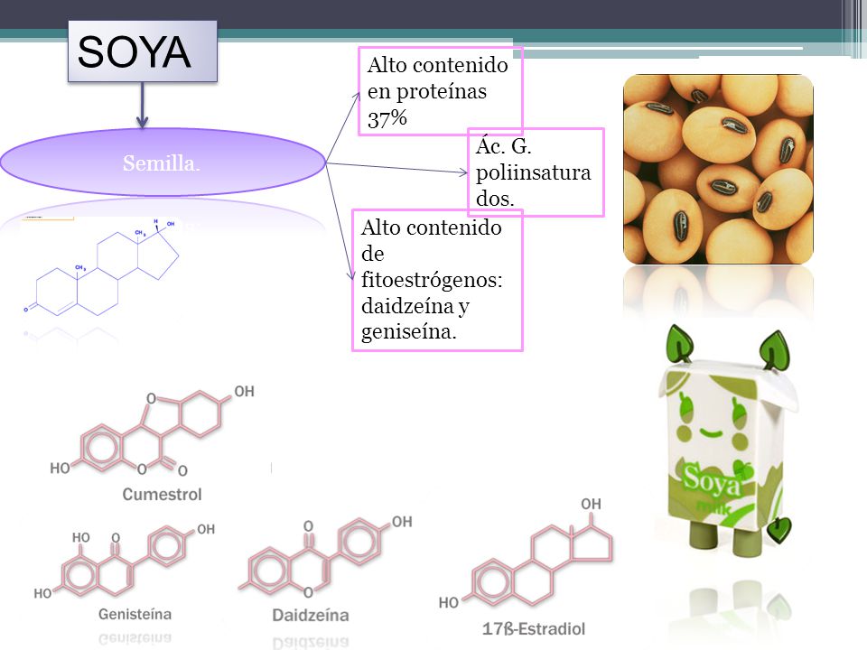 SOYA Alto contenido en proteínas 37% Ác. G. poliinsaturados. Semilla.