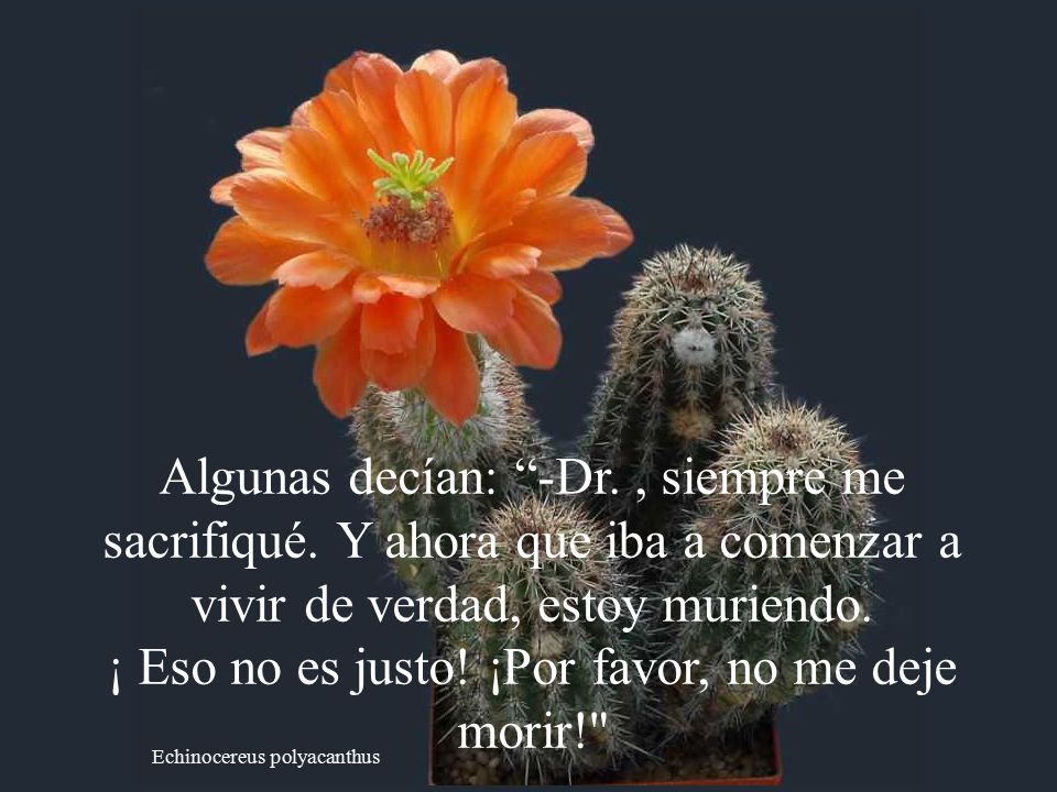 ¡ Eso no es justo! ¡Por favor, no me deje morir!