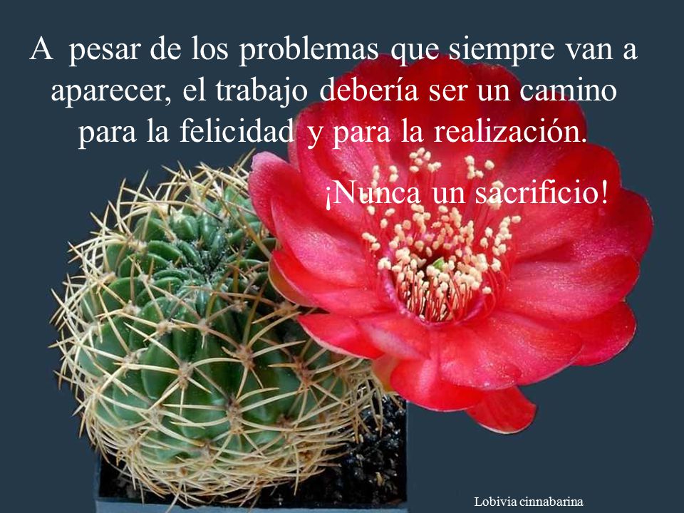A pesar de los problemas que siempre van a aparecer, el trabajo debería ser un camino para la felicidad y para la realización.